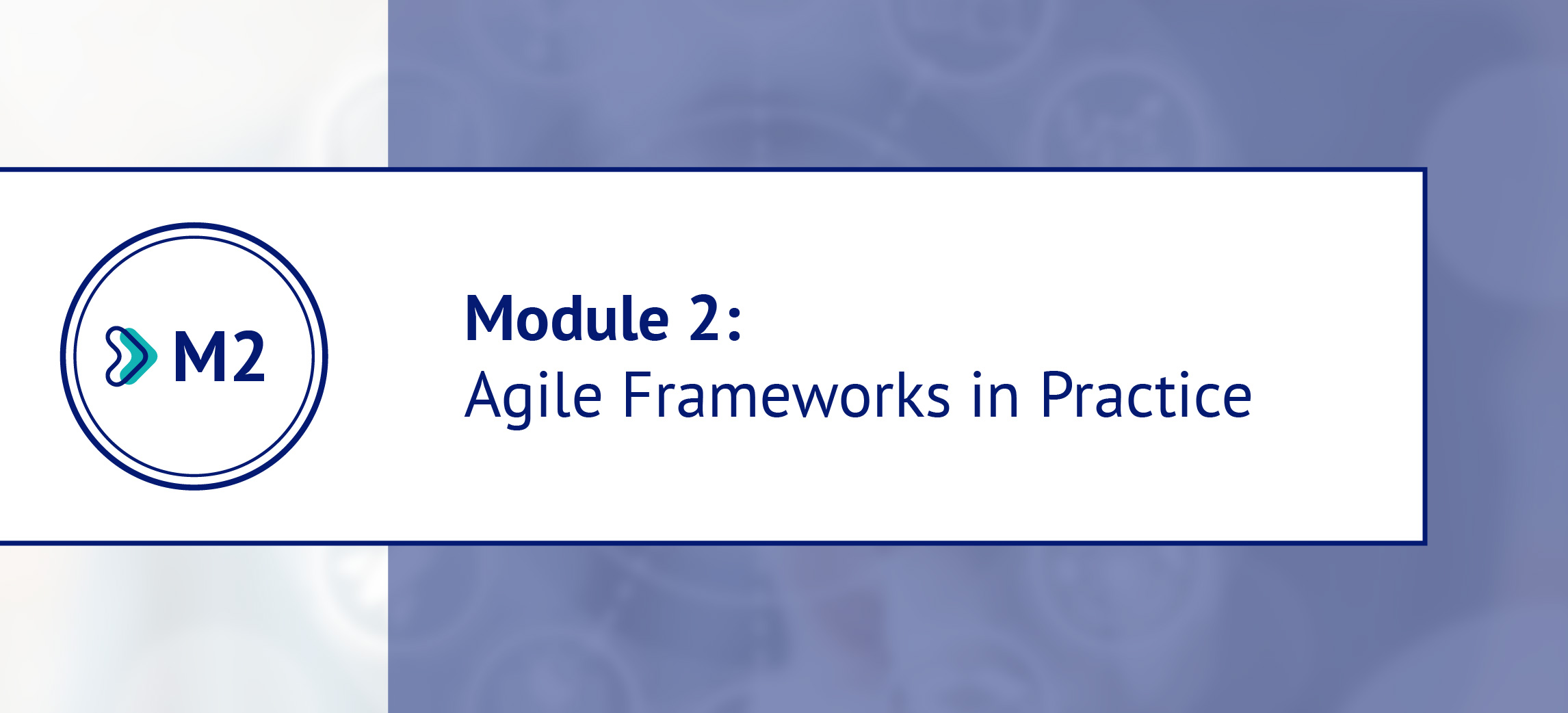 Snow Agile Module All courses | USJ Online